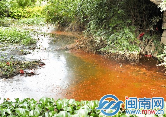 玉田渠水面，水浮蓮叢生，散發(fā)陣陣惡臭