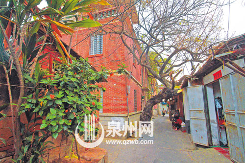 臺魁巷里，落葉如黃金般鋪滿地。