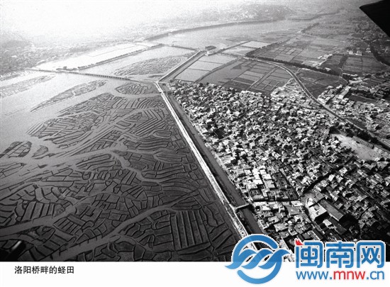 洛陽(yáng)橋畔