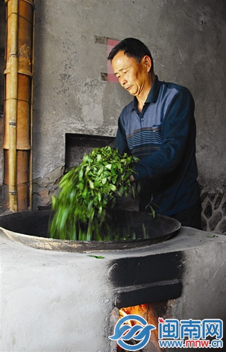 國(guó)家級(jí)非遺安溪鐵觀音制作技藝