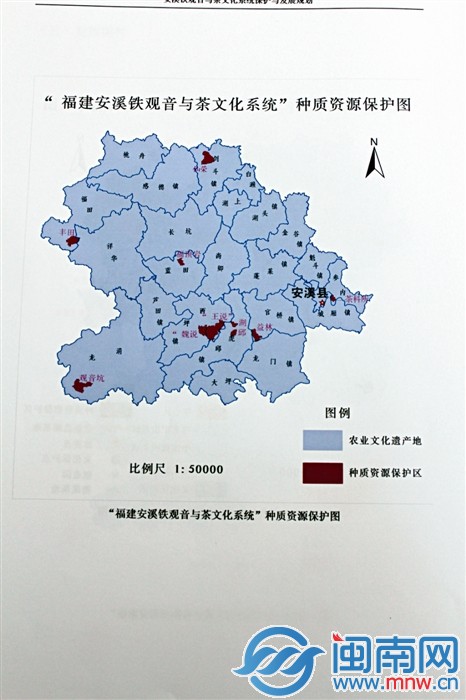 “福建安溪鐵觀音與茶文化系統(tǒng)”種質(zhì)資源保護(hù)圖