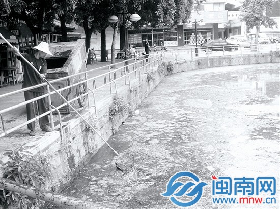 2009年，百源清池池水黑臭