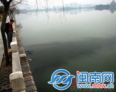 2011年，西湖遭油污污染