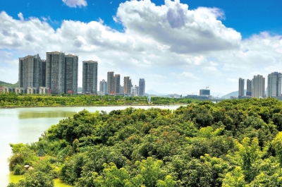 西溪兩岸郁郁蔥蔥，生機(jī)盎然