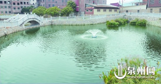 馬甲鎮(zhèn)新民村的氧化塘。