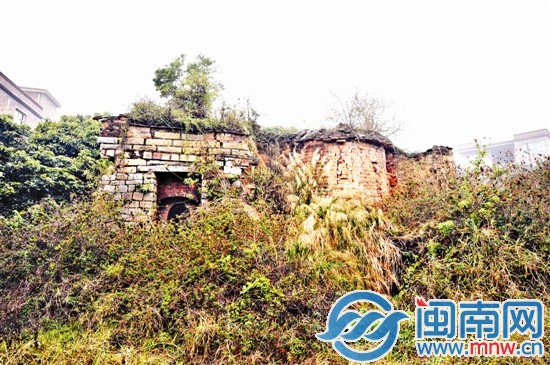 槐山村一處古窯，已經(jīng)被草叢包圍