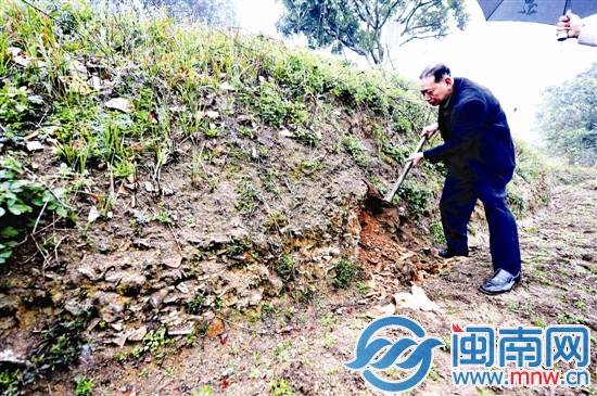 在田埂上，隨便一挖可見瓷片堆積