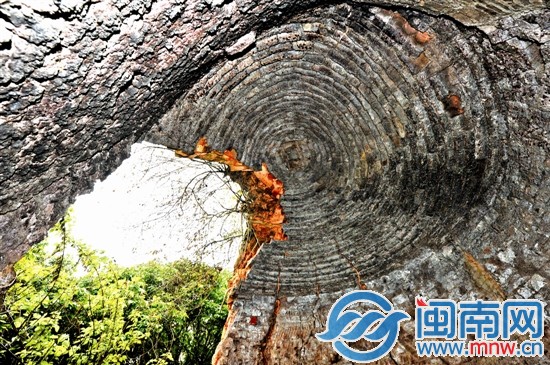 古窯窯頂內(nèi)景