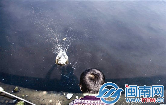 阿寶的樂園，是家門口那灣水塘