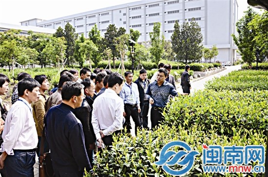 學(xué)員們到知名茶企參觀學(xué)習(xí)