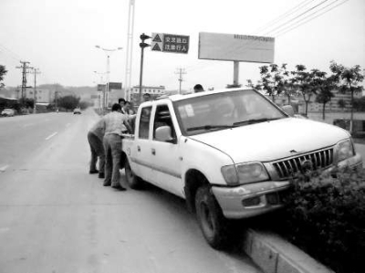 車沖路中花圃