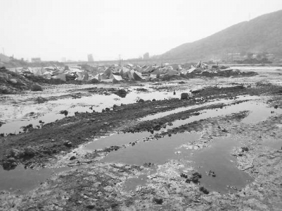 水頭鎮(zhèn)永泉山生態(tài)園內，一家養(yǎng)殖場將污水排到了金都