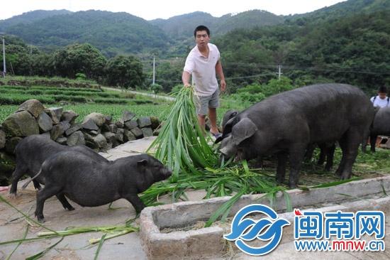 義賣(mài)助學(xué) 一個(gè)說(shuō)到做到的承諾11